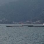 20130409IMG_0595