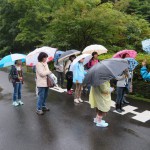 雨中の散策となりました