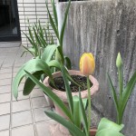 FB写真①4月11日