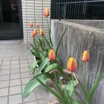 FB写真②4月11日