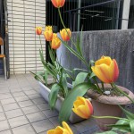 FB写真③4月11日