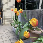 FB写真③4月11日