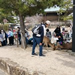 LINE_ALBUM_2023宮島_230403_39