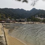 LINE_ALBUM_2023宮島_230403_55