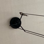 ツバメ屋内飛来