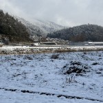 S__366796806