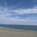 S__370499592_0