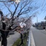 FB記事0403