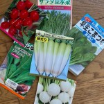 余りの種