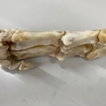 これ何でしょう答え